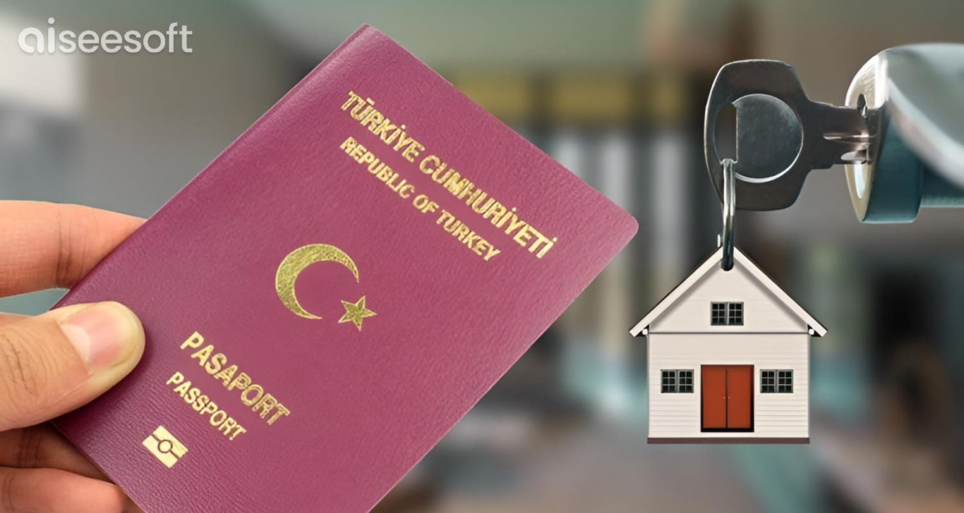 Immigration to Turkey: types of visas and procedures